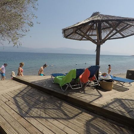Florida Blue Bay Resort & Spa Psathópirgos Zewnętrze zdjęcie